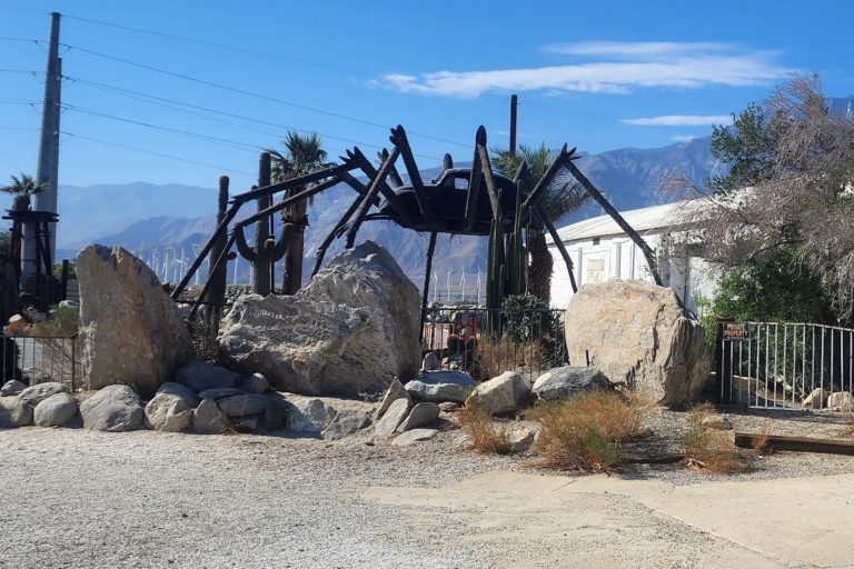 Bug-Spider – Palm Springs, California