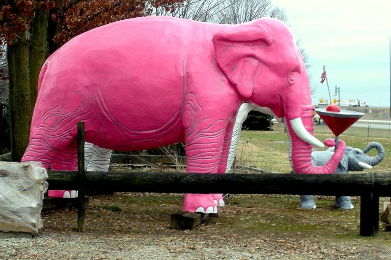 Pink Elephant With a Martini – Haubstadt, Indiana