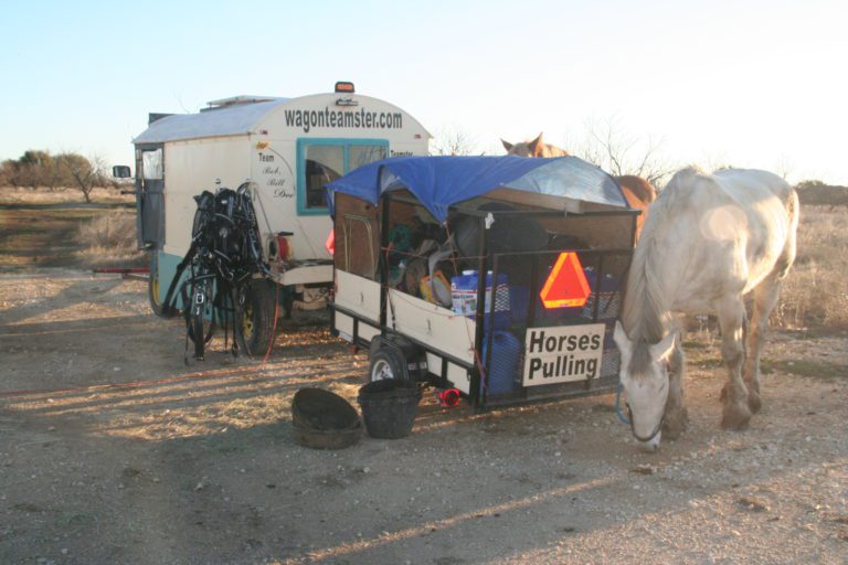 Wagonteamster – Bob (and the horses: Bob, Bill & Doc)